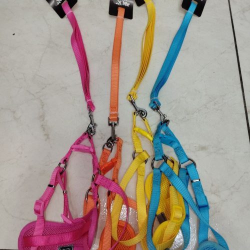 collar y pechera para mascotas